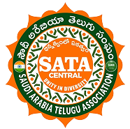 sata logo